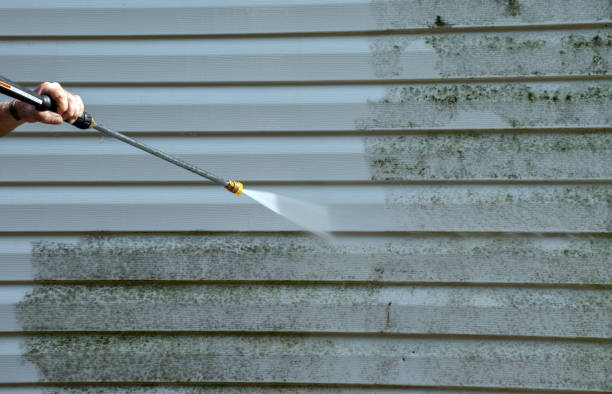 Best Fence Pressure Washing  in Taft, FL