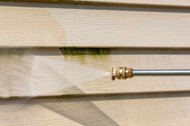 Best Residential Pressure Washing Services  in Taft, FL