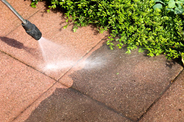 Best Affordable Power Washing  in Taft, FL